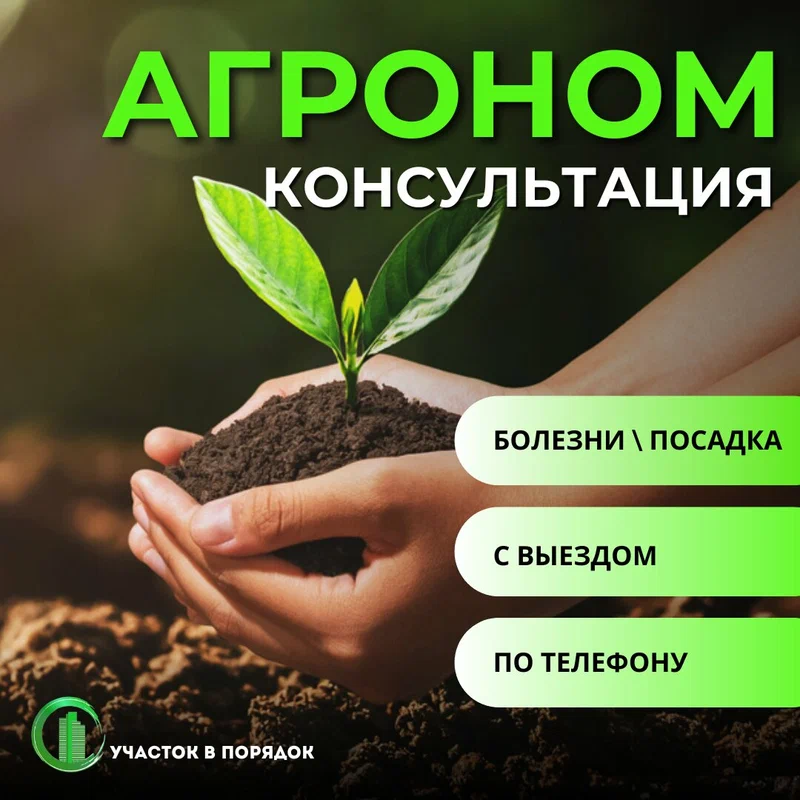Консультация агронома на участке