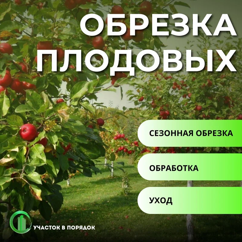 Обрезка плодовых деревьев